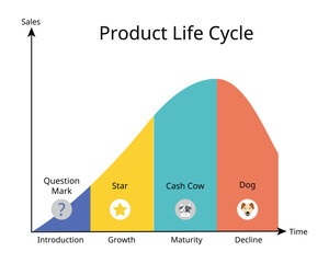The BCG growth share matrix contains four distinct categories dog, cash cow, star, and question mark