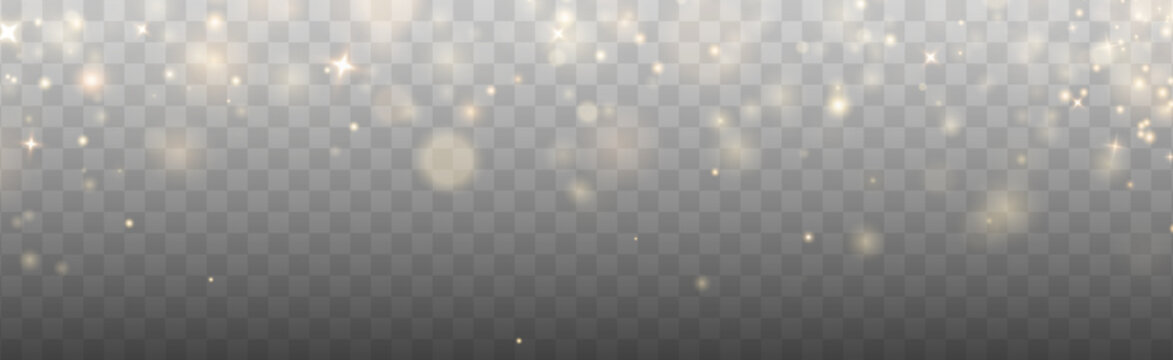 Christmas background. Powder dust light PNG. Magic shining gold dust. Fine, shiny dust bokeh particles fall off slightly. Fantastic shimmer effect. Vector illustrator.	