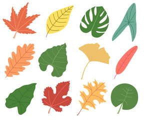 Fototapeta na wymiar Leaves Clipart Set. Colorful Leaves Set.