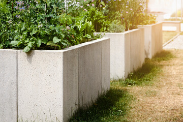 Garden Bed for Growing Vegetables Herbs in Modern Community garden. Concrete Raised Garden Beds in Urban Garden Yard. 