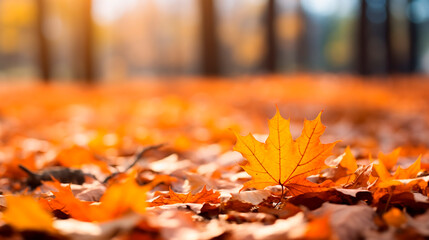 Naklejka na ściany i meble Autumn leaves in the park. Generative AI,