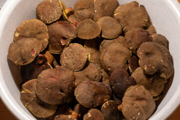 Brown mushroom caps side by side.