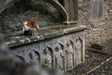 Abandoned abbey in Ireland