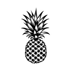 pineapple fruit. Vector black and white illustration.