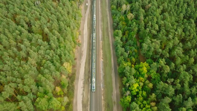 Przejazd szybkiego pociągu przez jesienny zielony las