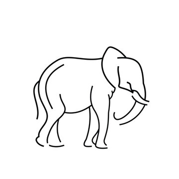 Elephant  Outline Logo
