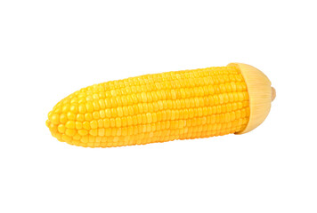 Sweet corn on transparent png