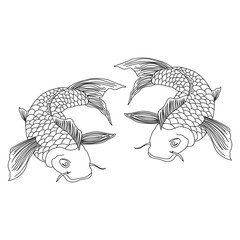 Drawn contour catfish fish. Sketch, icon, logo, vector