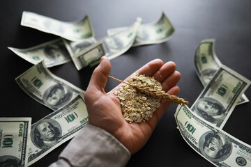 The concept of the cost of grain. 100 dollar banknotes around a handful of ground grain. World hunger. - obrazy, fototapety, plakaty