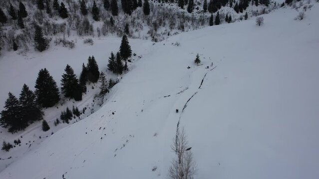 alpine winter