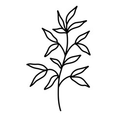 Fototapeta premium Cute branch with leaves isolated on white background. Vector hand-drawn illustration in doodle style. Perfect for cards, logo, decorations, various designs. Botanical clipart.