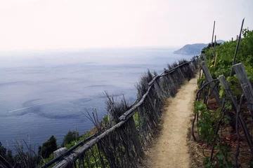 Gartenposter Ligurien Vineyards in Cinque Terre, Liguria, Italy  © Luca