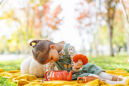 Cute little girl in an autumn park on grass. Toddler girl having fun outdoor. Autumn lifestyle photo for advertising tape.