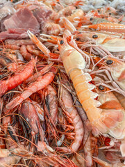 raw seafood background with fresh jumbo shrimps