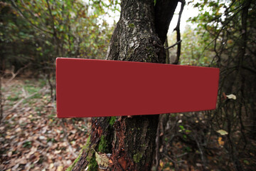 Wooden hiking trail sign on tree at forest.
