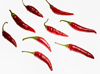 Fresh chili pepper on white background