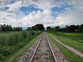 railway in the forest