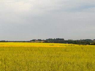 A field in Kashubia.