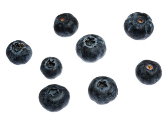 many blueberries isolated over atransparent background