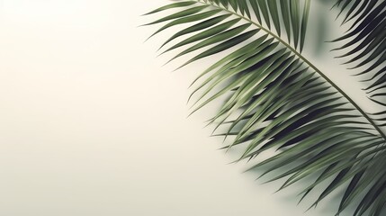 Palm Leaf Serenade: Light Background with Realistic Palm Leaf Shadows. AI generated