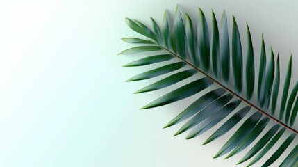 Palm Leaf Simplicity: Light Background with Realistic Palm Leaf Shadows. AI generated