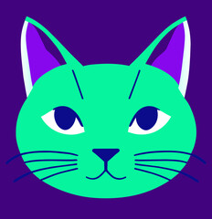 cat with eyes vector