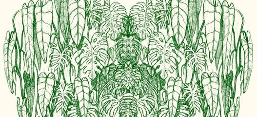 drawing of leaves garden. artwork © Jorm Sangsorn