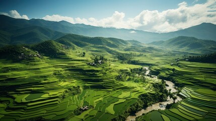 An aerial view of a vast and lush rice field, Generative AI