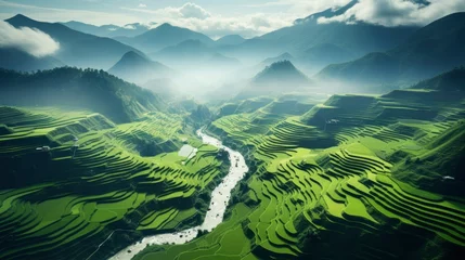 Deurstickers An aerial view of a vast and lush rice field, Generative AI © kanesuan