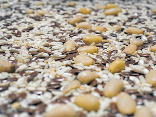 Mix of seeds for salad. White sesame, cedar pine seeds and flax seeds. Healthy eating. Macro photography