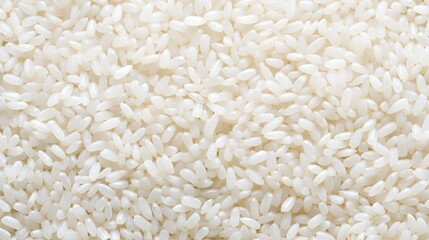 cereals (oats, wheat, barley, corn, rye) focusing on the details generative ai