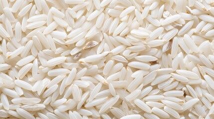 cereals (oats, wheat, barley, corn, rye) focusing on the details generative ai