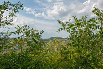 scenic panorama of the green hills of Lazio in Italy