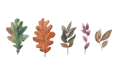 Obraz premium Set of autumn leaves, yellow leaf twigs, yellow foliage, Watercolor illustration isolated on white background