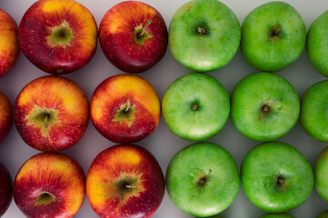 Pattern group of mixed green and red apples. Organic fresh fruits and image of fall apple harvest 
