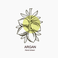 Hand drawn argan banch. New argan illustration templete. Vintage illustration for logo, label, packaging.