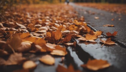 rainy autumn weather with leaves in warm colors on the ground