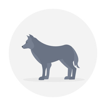 Vector wolf. Standing. Side view. Flat illustration. Suitable for animation, using in web, apps, books, education projects. No transparency, solid colors only. 