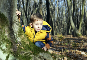 Cute boy 5 years old in the autumn forest.