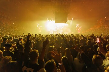 Big people crowd cheering and dancing in huge concert