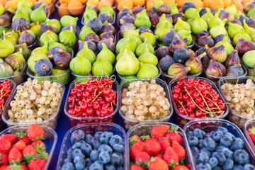 A Colorful Variety of Fresh Fruits at a Busy City Market