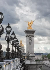 Photo sur Plexiglas Pont Alexandre III Alexander III bridge in Paris, France