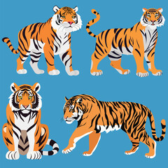 Tiger vector art work set.