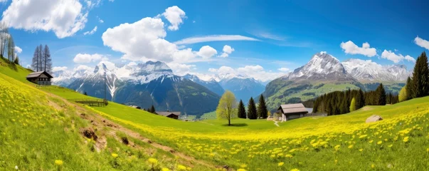 Foto op Aluminium Idyllic mountain landscape in the Alps with blooming meadows in springtime, morning light, copy space, Generative AI © kanesuan
