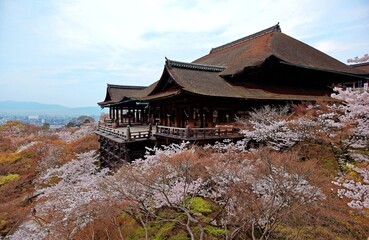 Morning scenery of majestic Kiyomizu-dera Temple in Kyoto, Japan, with view of the famous wooden...