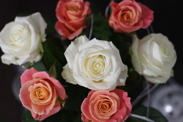 bouquet of roses