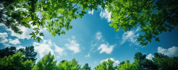 Fototapeta premium Looking up at the green tops of trees, Generative AI