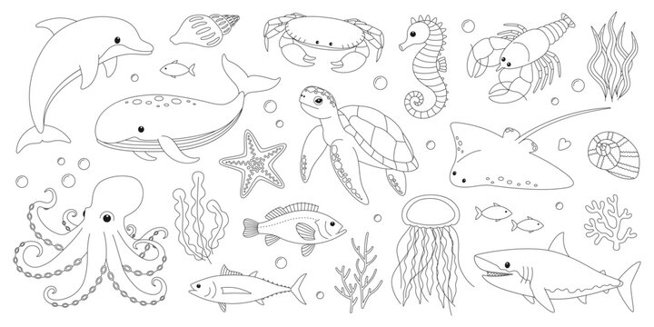 Sea and ocean animals coloring page. Cute dolphin, whale, crab, seahorse, starfish, lobster, turtle, stingray, octopus, shark, jellyfish and fish. Marine creatures outline set. Coloring book for print