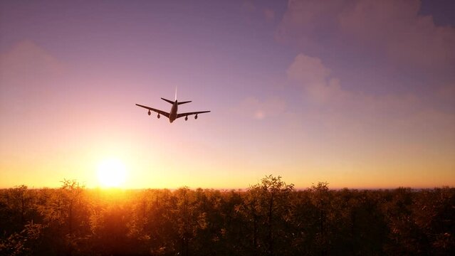 Plane flies into the sunset nature landscape