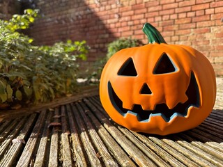 Halloween pumpkin in the sunny garden